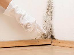 Best Crawl Space Mold Remediation  in Clear Lake Shores, TX